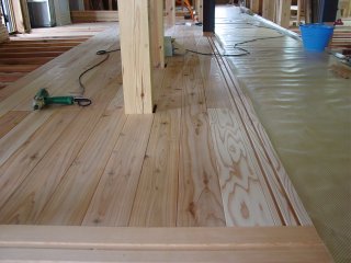 ���i���C��40mm�j